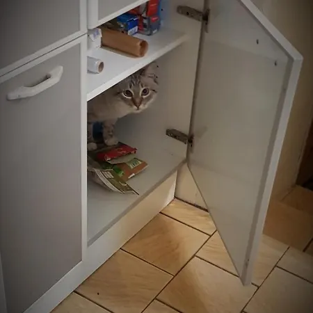 Séjour chez l'habitant Kim's *